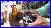 A Brief History Of Penn Senator Reels U0026 Breakdown Of A 113h Senator More To Come On The Senator