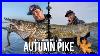 Autumn Pike Fishing Casting And Trolling For Giant Northernpike