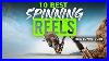 Best Spinning Reels 10 Spinning Reels 2023 Buying Guide