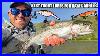 Easiest And Best Lures For Kayak Trout Anglers