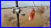 Fishing A Flooded River Penn Peer 209