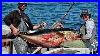 Giant Yellowfin Tuna 110lb Wahoo Epic Footage Venice Louisiana Ep 48