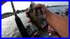 Gulp Alive Minnow Versus A Real Minnow