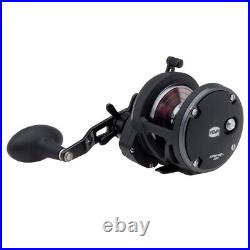 Penn 1366200 War20N Warfare 20N Star Drag Conventional Reel