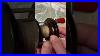 Penn 79 Fishing Reel Of The Day Fish