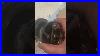 Penn Jigmaster 506 Fishing Reel Of The Day Fishing Fishingreel Reel