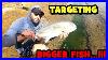 The Extra Effort To Catch These Fish Was Worth It Ft Eurotackle Ben Lifelisting Nic Ep5