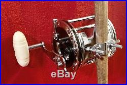 Vintage Penn Senator 4/0 Special 113 Fishing Reel EXCELLENT NICE! With Orig Box