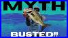 We Ve Been Lied To About The Best Hooks For Flipping